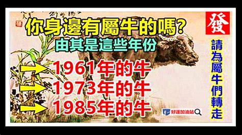 1973年屬牛|1973年屬牛的是什麼命 未來十年運程